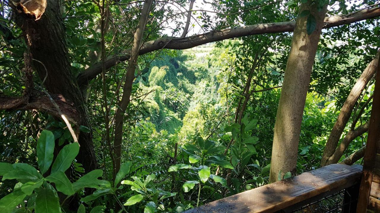 Le Lodge Origin Sainte-Suzanne Zewnętrze zdjęcie
